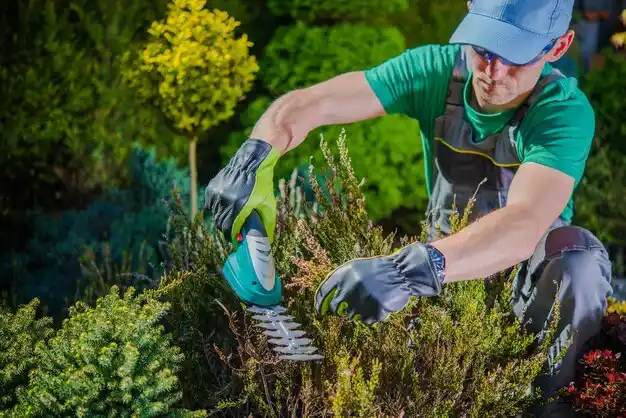 landscaping services Mount Healthy